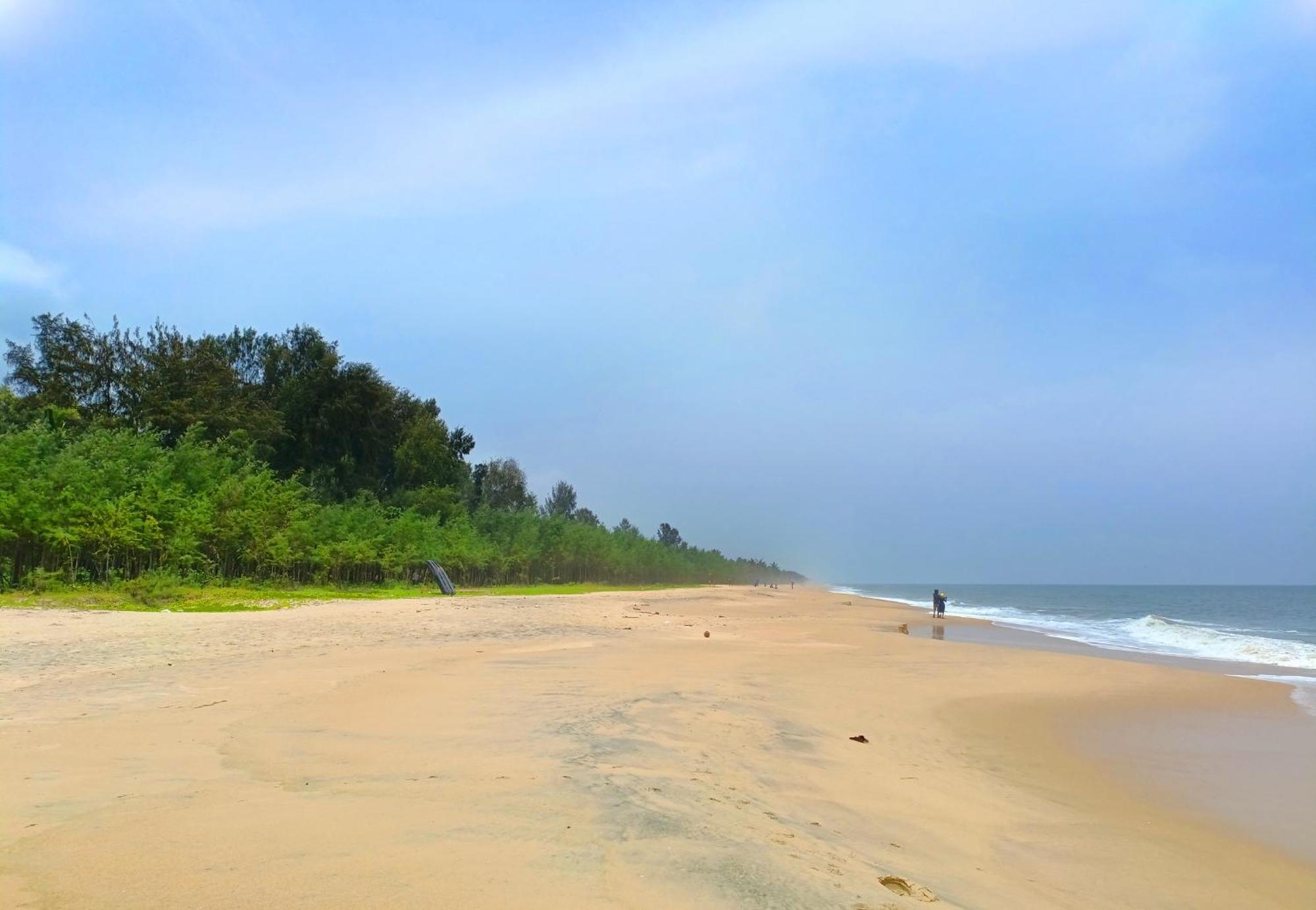 Marari Beach Cleetus Homestay Mararikulam Buitenkant foto