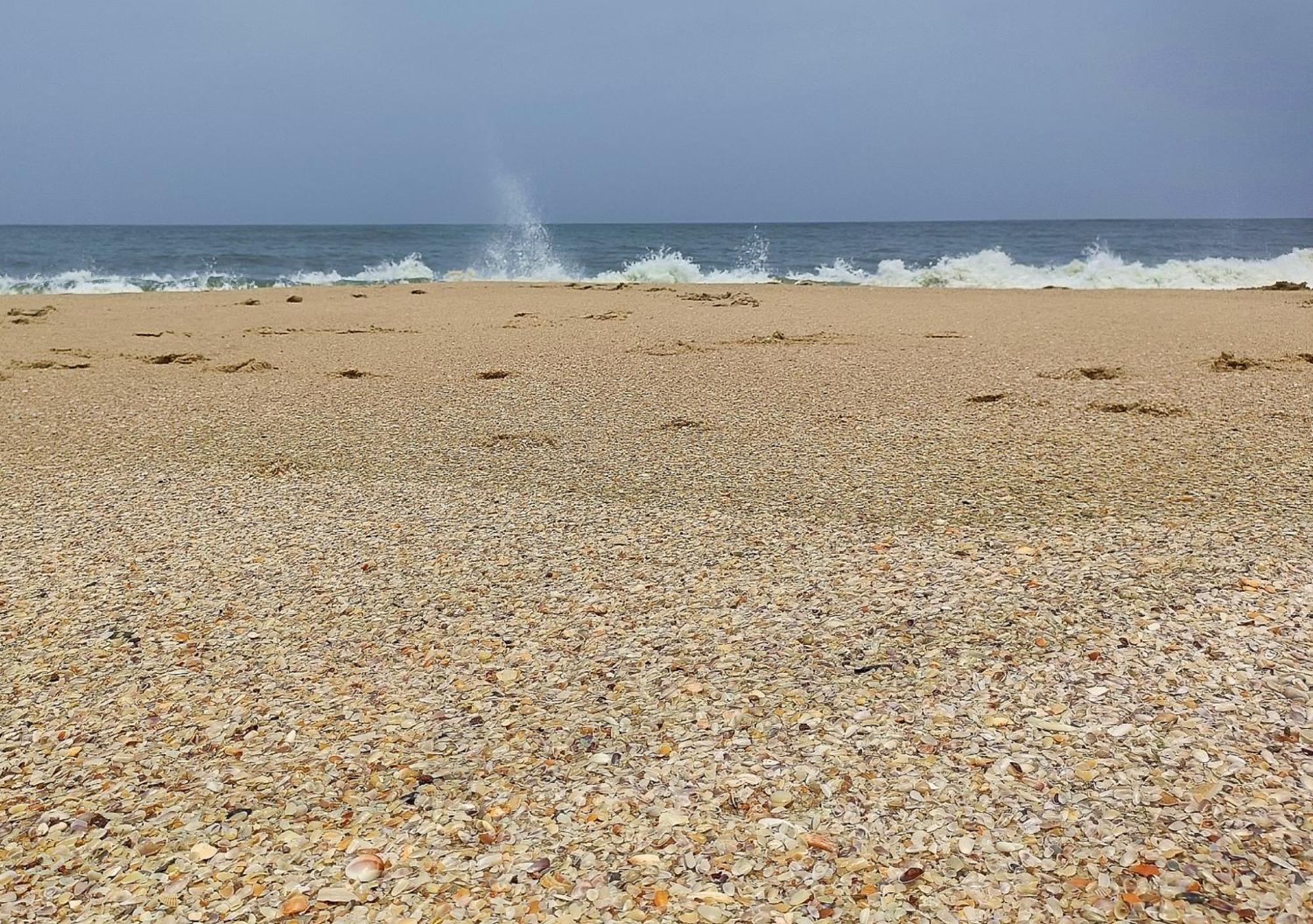 Marari Beach Cleetus Homestay Mararikulam Buitenkant foto
